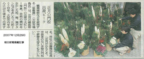 �叼�̋L�� �����V��