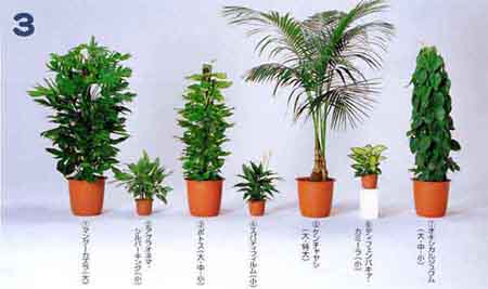 �}���O�[�J�Y���A�A�O���I�l�}�E�V���o�[�L���O�A�|�g�X�A�X�p�e�B�t�B�����A�P���`�����V�A�f�B�b�t�F���o�L�A�E�J�~�[���A�I�L�V�J���W���[��