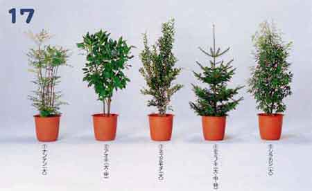 �i���e���A�A�I�L�A�l�Y�~���`�A���~�m�L�A�V���J�V