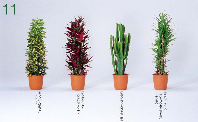 ������J�|�b�N�A�N�e�i���e�E�N�����A�i �A�_�C�E���J�E �A�R���f�B���l�E�X�g���N�^