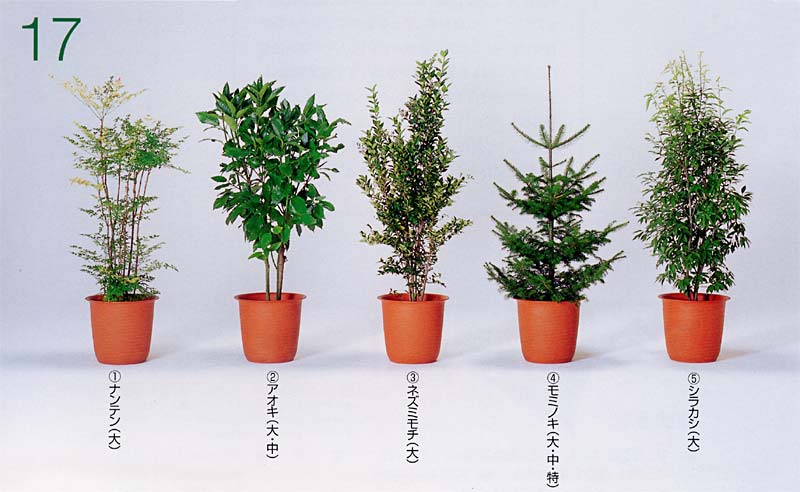 �i���e�� �A�A�I�L �A�l�Y�~���` �A���~�m�L �A�V���J�V